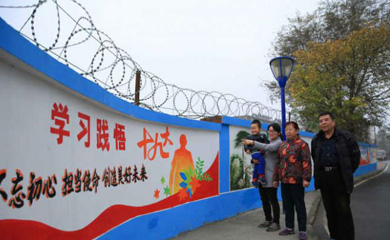 合肥庐阳区金池社区221米手绘文化墙